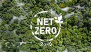 A matter of urgency: What data centres can do to help with net zero
