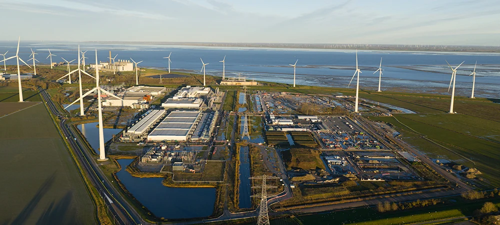 Project Round-up: News from around our regions